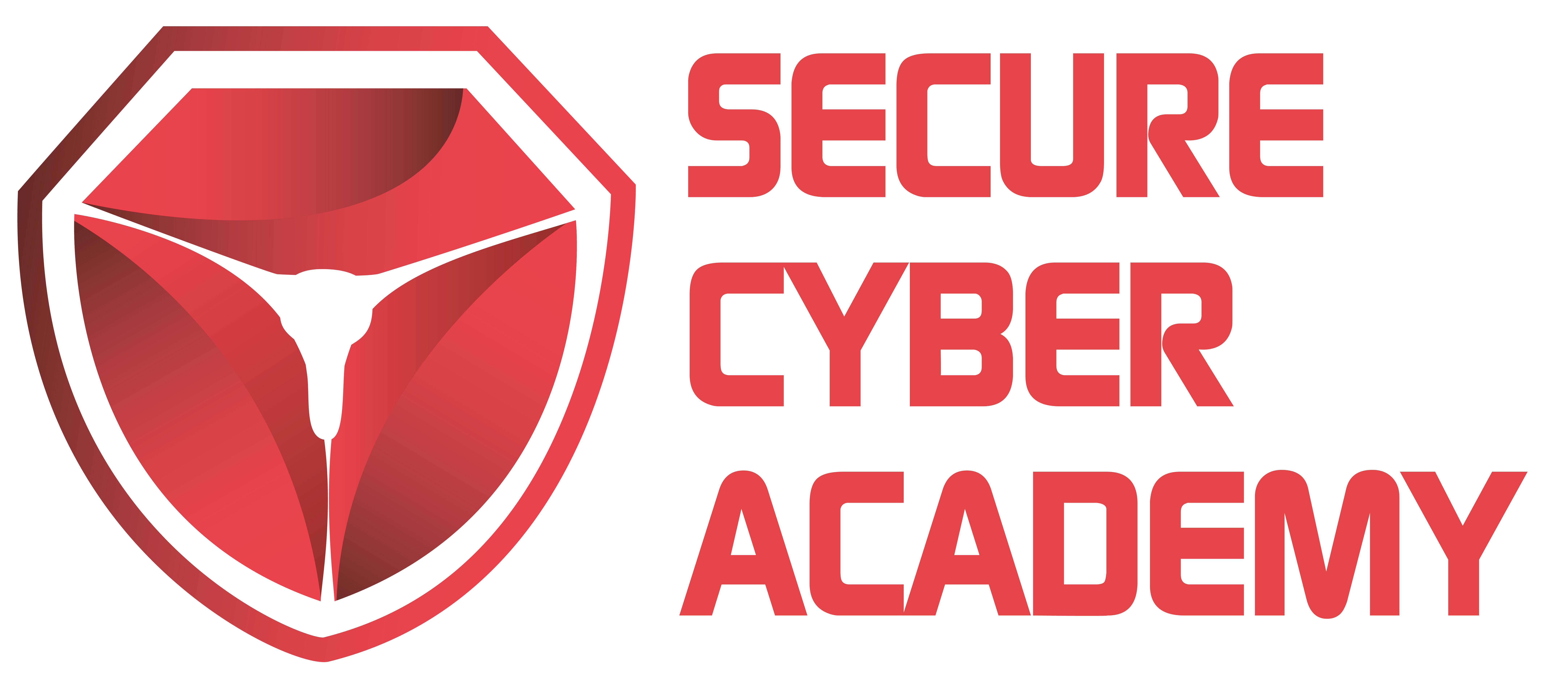 Best Cyber Security Courses in Secure Cyber Academy